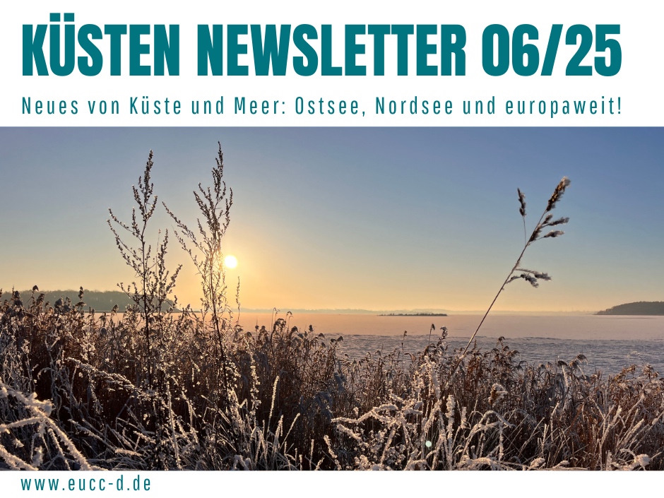 Küsten Newsletter
